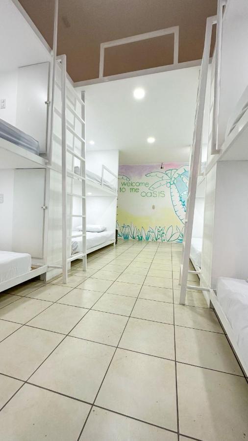 Sjo Oasis Hostel Сан-Хосе Экстерьер фото