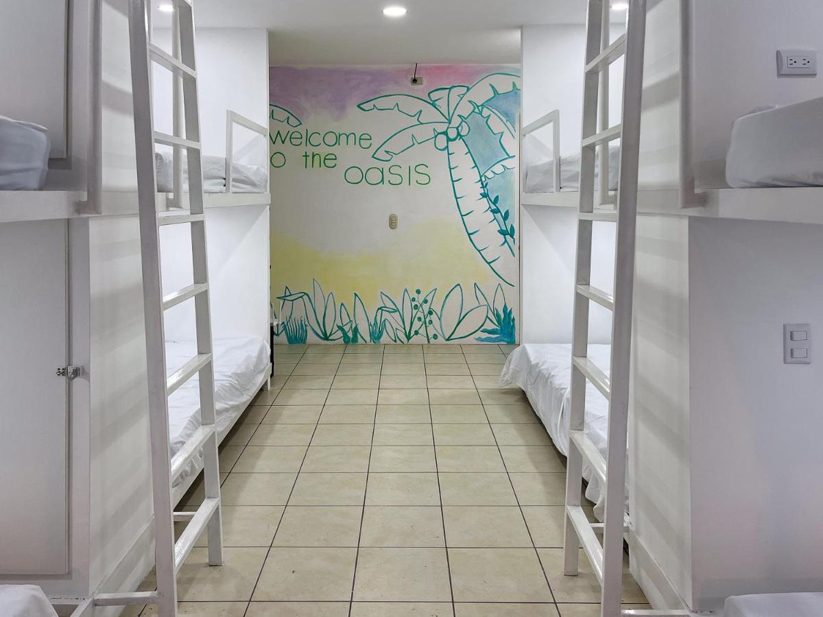 Sjo Oasis Hostel Сан-Хосе Экстерьер фото