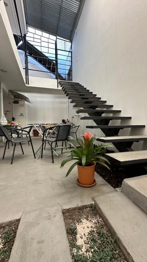 Sjo Oasis Hostel Сан-Хосе Экстерьер фото