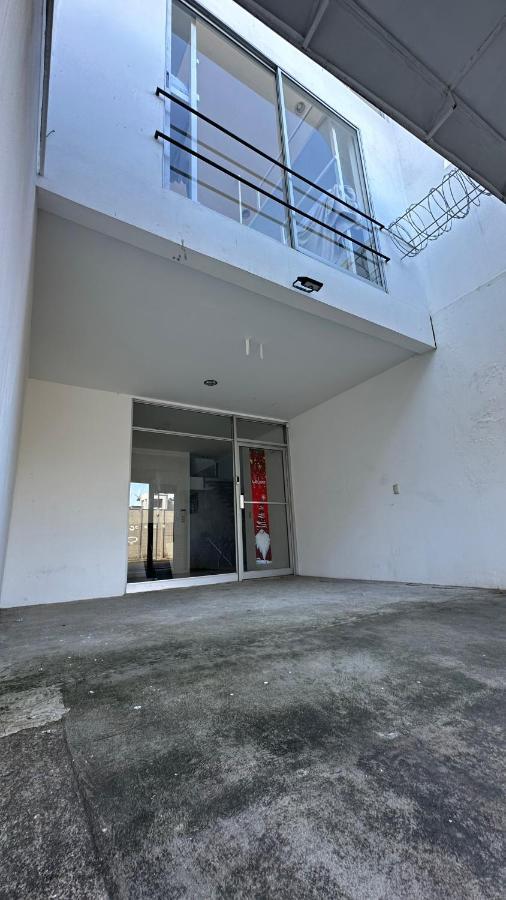 Sjo Oasis Hostel Сан-Хосе Экстерьер фото